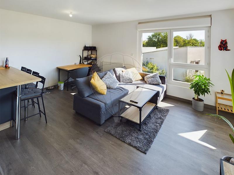 Appartement - 45 m² - 2 pièces