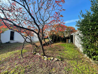 Maison - 75 m² - 3 pièces