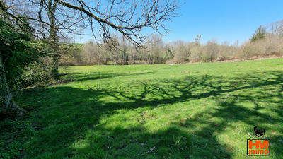 Terrain - 50 000 m²