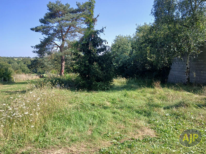 Terrain - 1 003 m²