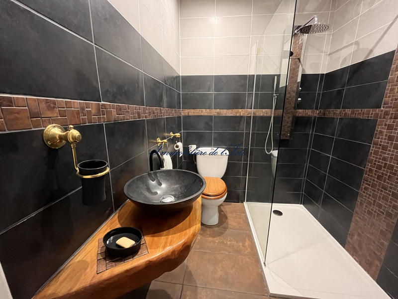 Maison - 300 m² - 10 pièces