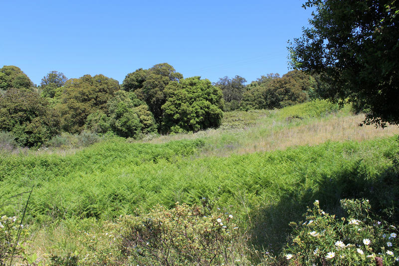 Terrain - 32 300 m²