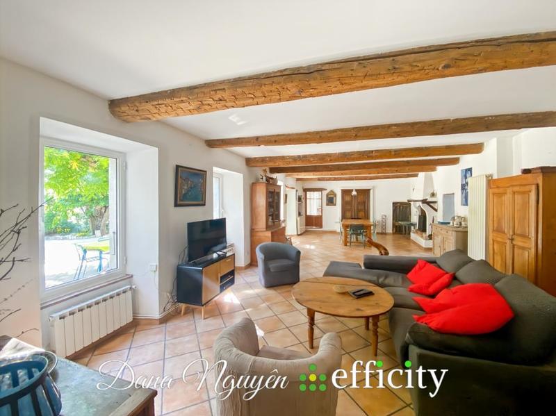 Mas - 259 m² - 9 pièces