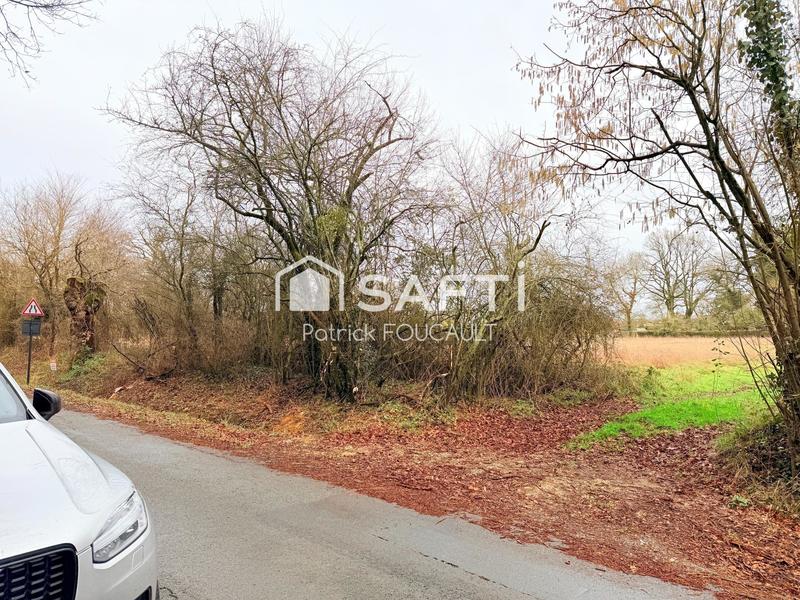 Terrain - 11 077 m²