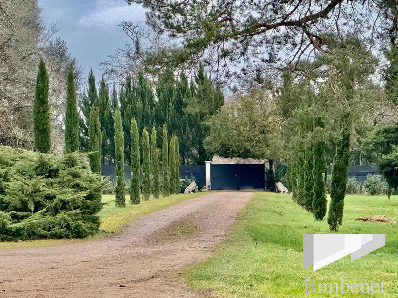 Manoir - 366 m² - 10 pièces