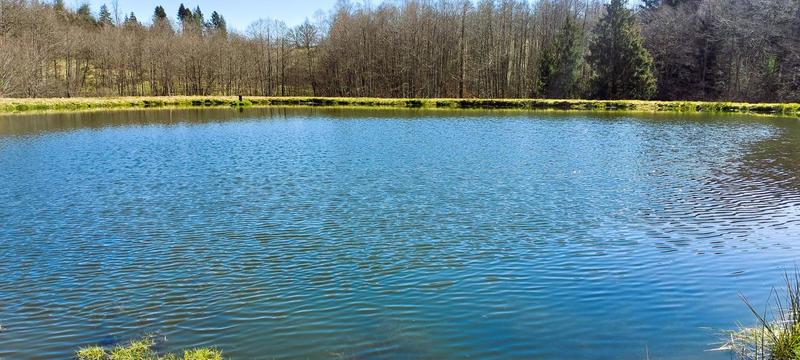 Ferme - 160 m² - 5 pièces