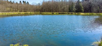 Ferme - 160 m² - 5 pièces