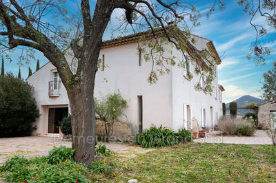 Mas - 332 m² - 10 pièces