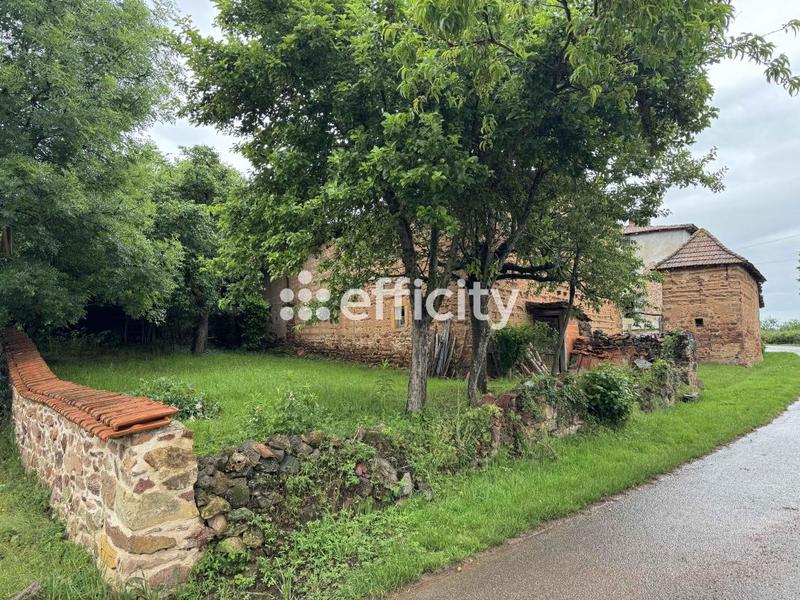 Maison - 300 m² - 8 pièces