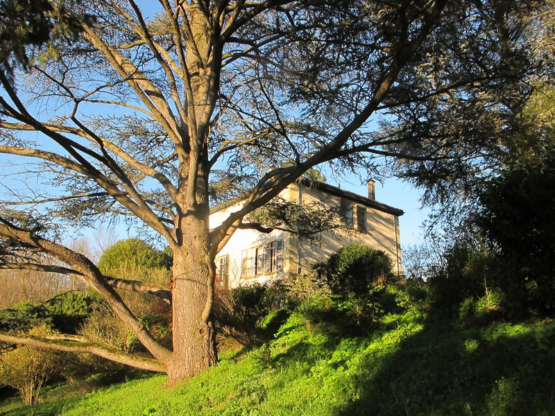 Propriété - 240 m² - 10 pièces