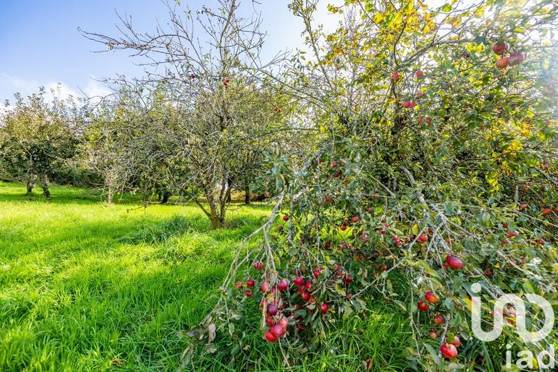 Maison - 164 m² - 5 pièces