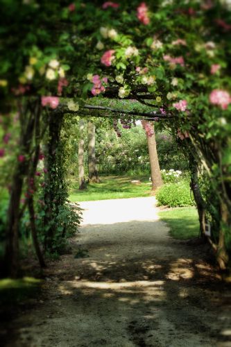 Les Chemins de la Rose