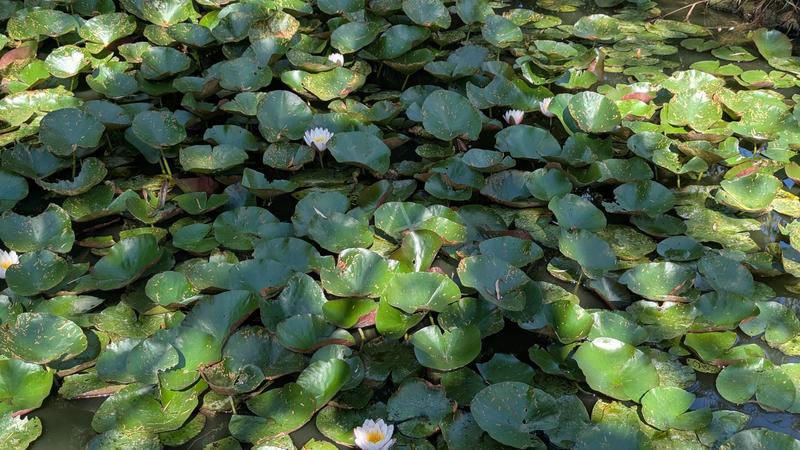 Maison - 56 m² - 3 pièces