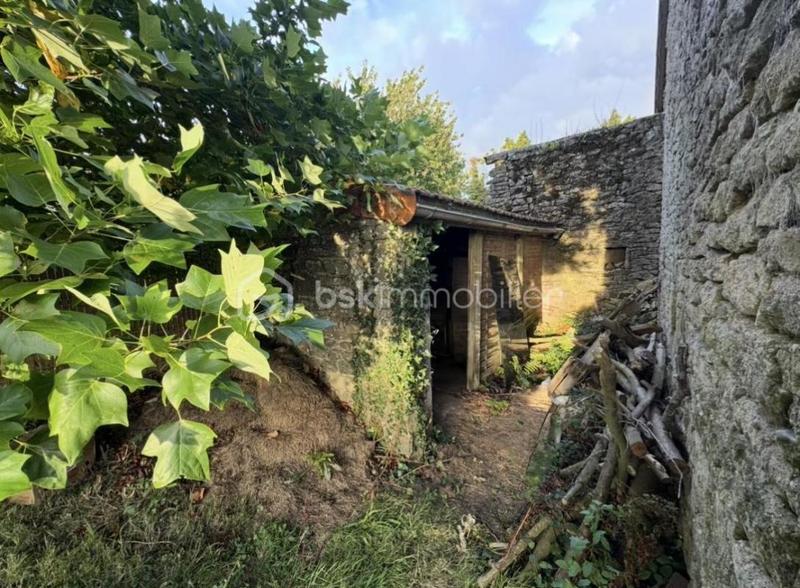 Maison en pierre - 120 m² - 4 pièces