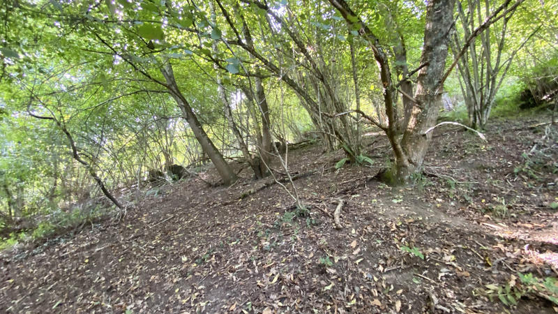 Maison - 71 m² - 1 pièce