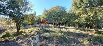 Terrain constructible - 829 m²