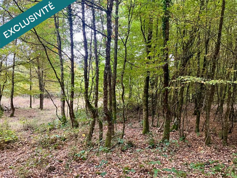 Terrain - 23 520 m²