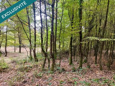 Terrain - 23 520 m²