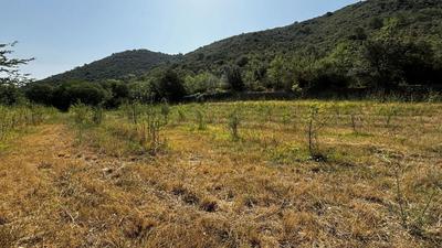 Terrain agricole - 14 855 m²