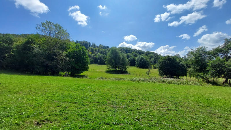 Maison de domaine équestre - 1 000 m² - 12 pièces