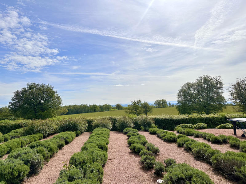 Propriété - 360 m² - 11 pièces