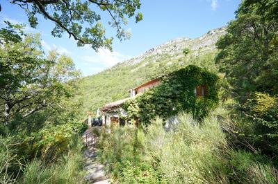 Maison - 256 m² - 11 pièces