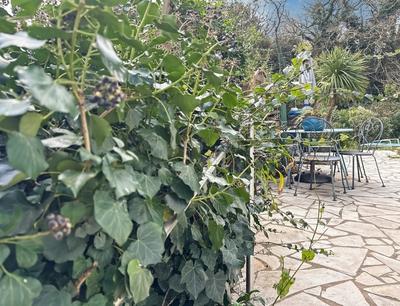 Maison - 137 m² - 9 pièces