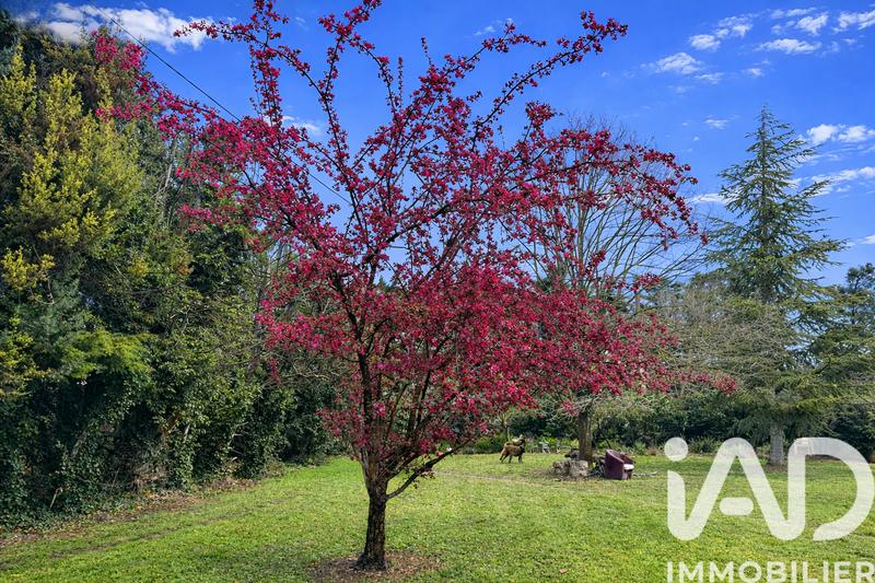 Maison - 210 m² - 7 pièces