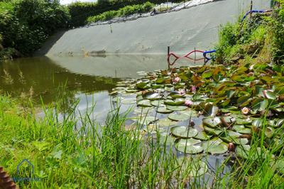 Maison - 80 m² - 5 pièces