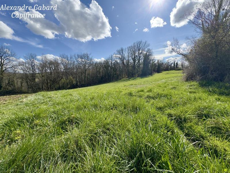 Maison en pierre - 130 m² - 6 pièces