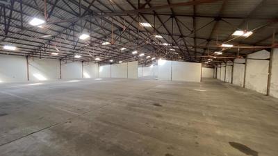 Local commercial - 1 338 m² - 4 pièces