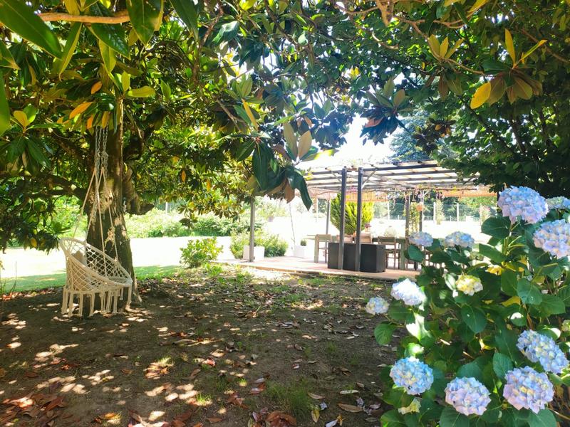 Maison chambre d'hôtes - 217 m² - 8 pièces