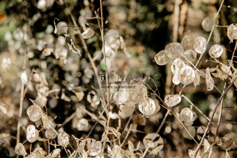 Appartement - 105 m² - 5 pièces