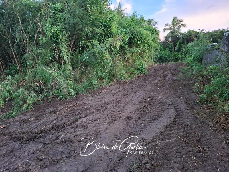 Terrain constructible - 2 000 m²