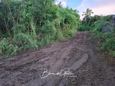 Terrain constructible - 2 000 m²