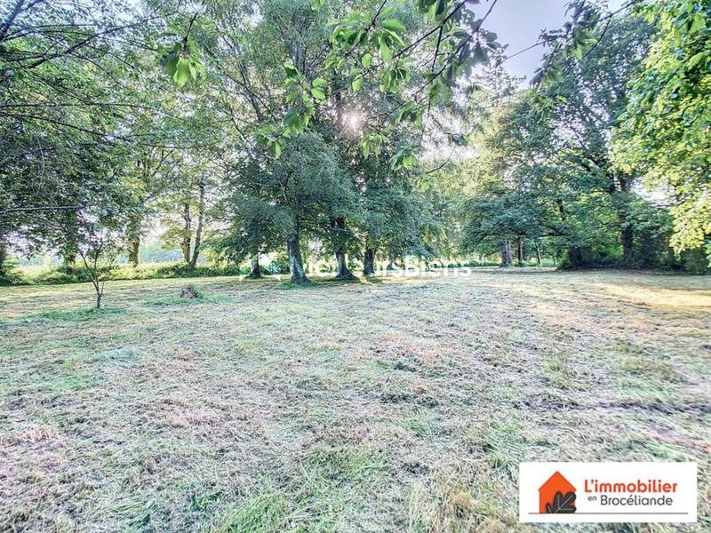 Longère - 198 m² - 9 pièces