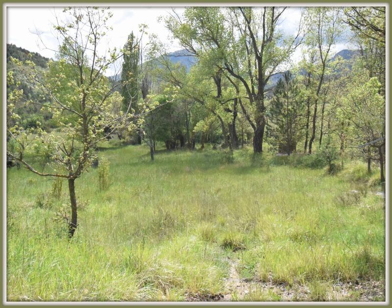 Mas - 80 m² - 3 pièces