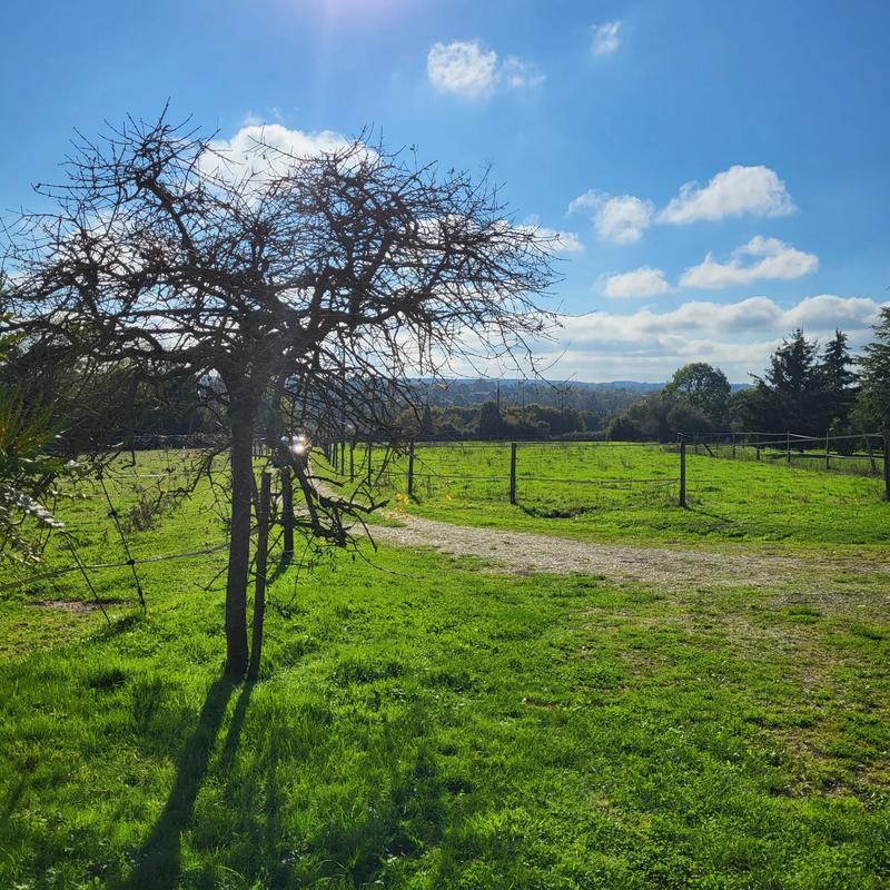 Maison - 87 m² - 5 pièces