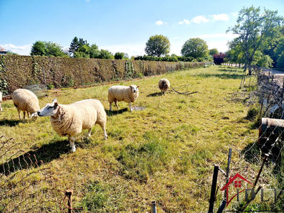 Maison - 91 m² - 3 pièces