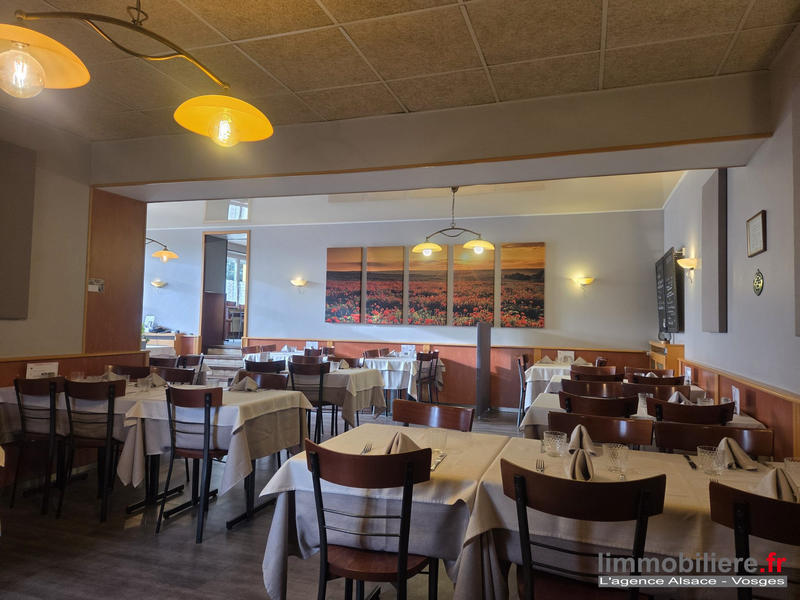 Local commercial - 439 m²