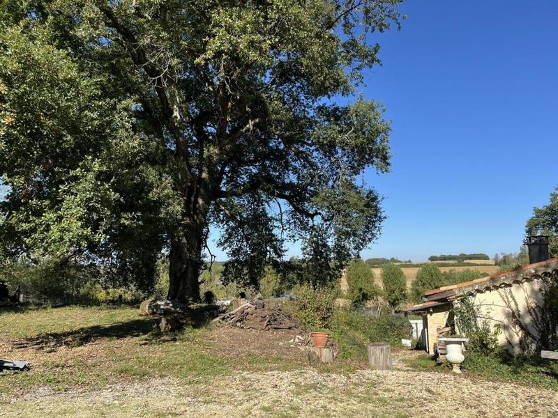 Maison en pierre - 355 m² - 11 pièces