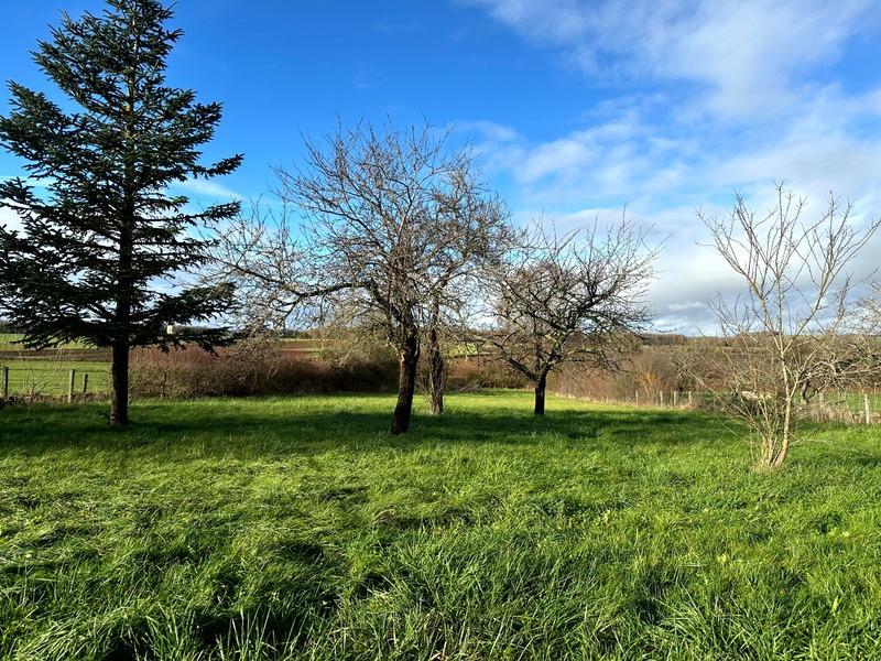 Maison de village - 175 m² - 7 pièces