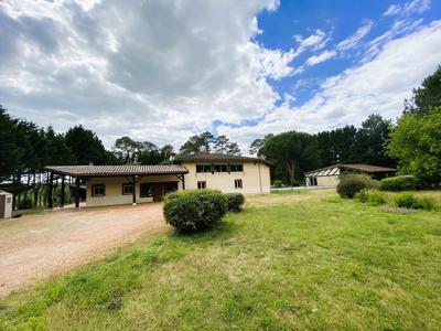 Maison en pierre - 260 m² - 8 pièces