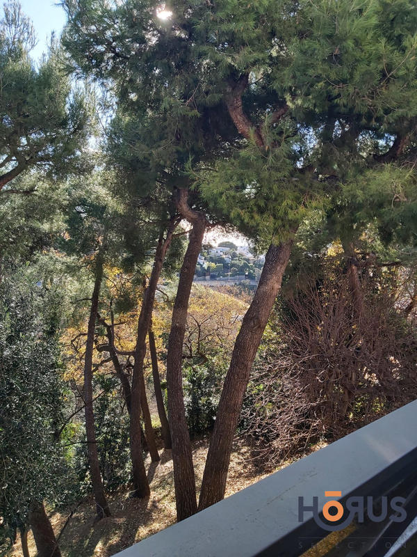 Viager - Appartement - 35 m² - 1 pièce