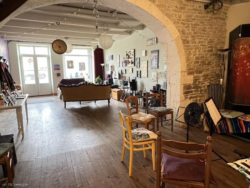 Maison de maîtres - 294 m² - 8 pièces