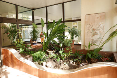 Appartement - 55 m² - 2 pièces