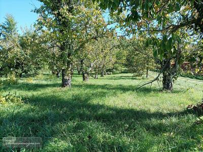 Terrain constructible - 1 628 m²