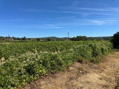 Maison - 180 m² - 6 pièces