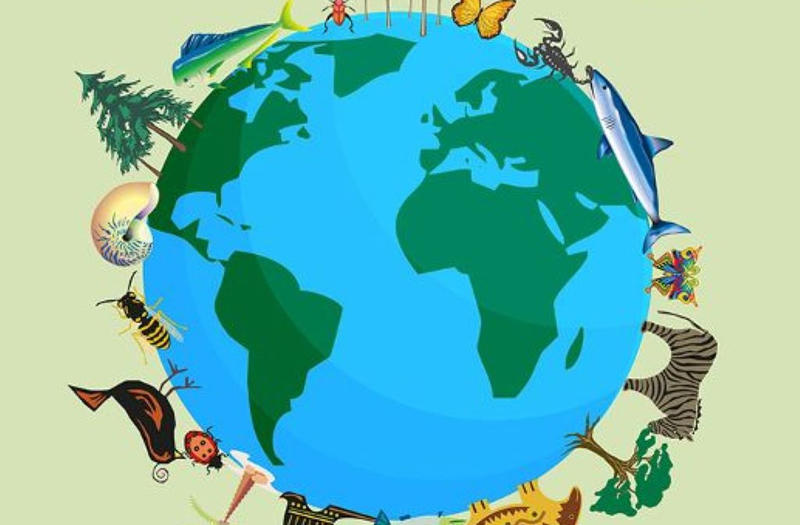 Exposition | Biodiversité