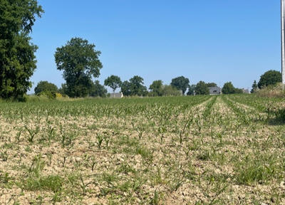 Terrain constructible - 9 678 m²